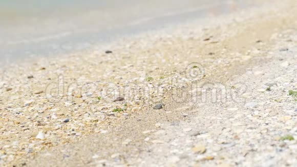 光着脚走在阳光明媚的海滩上的人视频的预览图