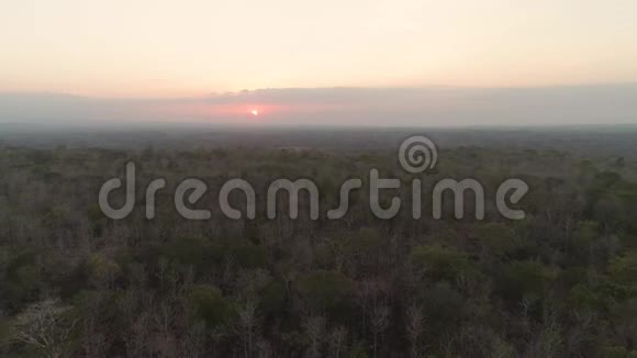 热带草原上的日落视频的预览图
