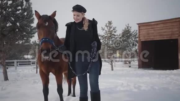 漂亮的年轻女人和漂亮的马在雪地的冬季牧场散步带着她的马出户的年轻女子概念视频的预览图