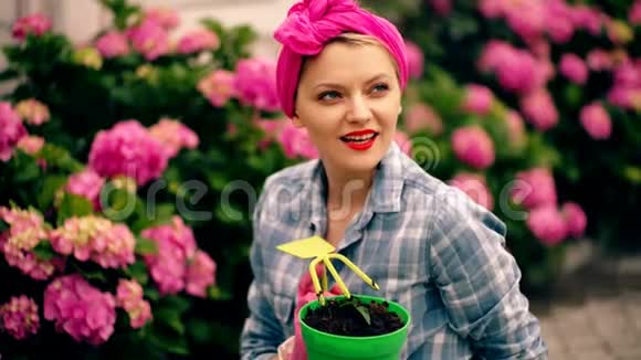 花圃里的女人关心花爱护植物的观念有鲜花的迷人乡村房子吸引力视频的预览图
