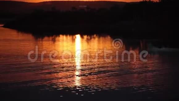 夕阳下的快艇视频的预览图