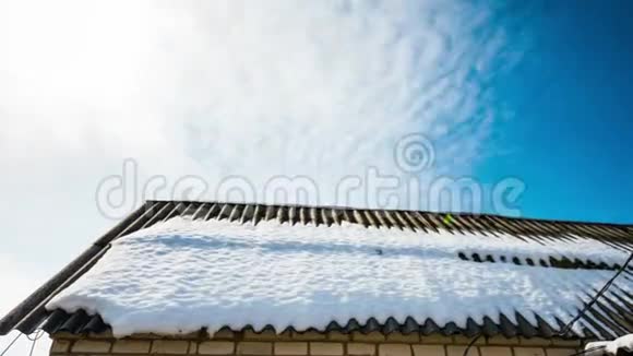 屋顶上春雪视频的预览图