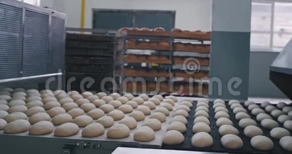 在一家现代化的烘焙工业工厂里一条准备上自动传送带的生面包带视频的预览图