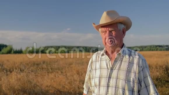 戴着牛仔帽的老白种人日落时在麦田里散步视频的预览图