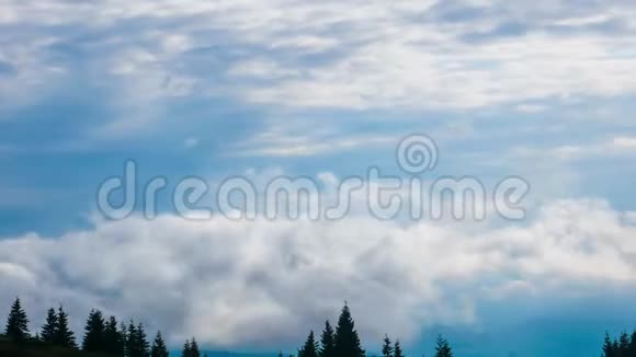 灰色白云飞在松林中视频的预览图