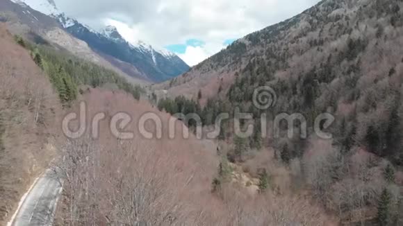 巴尔干半岛各国雪峰绿树和冬树的山路鸟瞰图视频的预览图