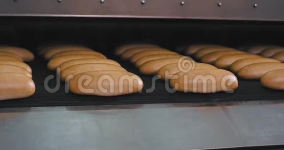 烘焙行业烘焙新鲜面包从自动输送线出来从皮带滚动现代机器食品行业视频的预览图