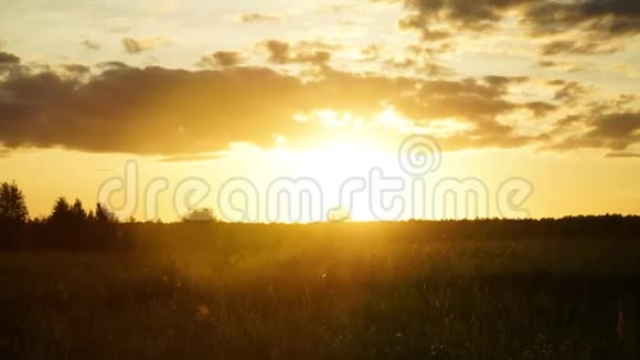 日落过度夏日夕阳在田野飞虫奔云视频的预览图
