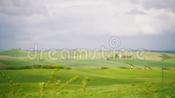 绿色田野的景色意大利的春天草地景观视频的预览图