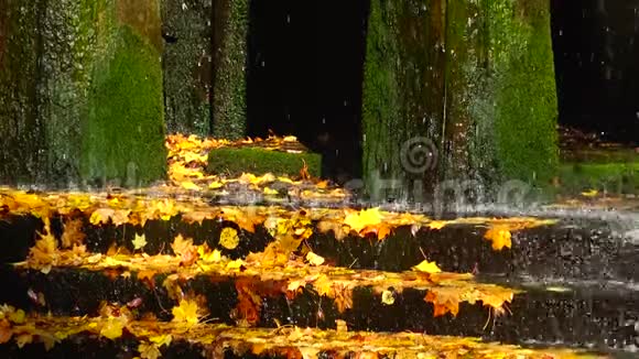 秋天瀑布的水落在黄叶上苏菲耶夫斯基公园视频的预览图