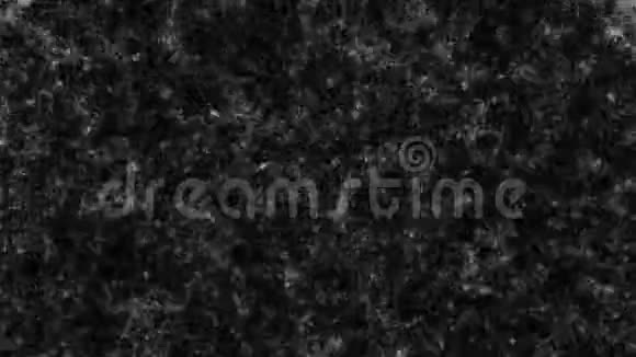 抽象黑白分形噪声纹理背景设计视频的预览图