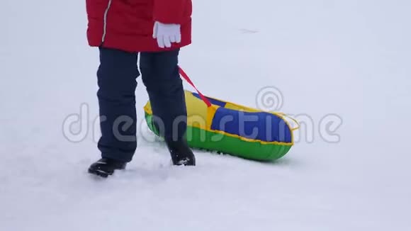 人们骑着雪碟度假村的冬季旅游在冬天下雪的日子里一家人在雪橇上玩得很开心特写视频的预览图