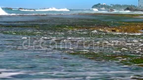 海浪在珊瑚礁上翻滚海草靠近海岸线视频的预览图