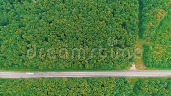 不同的汽车彼此不见了在阳光明媚的夏日驾驶着一条沥青路穿过广阔的森林4K视频的预览图