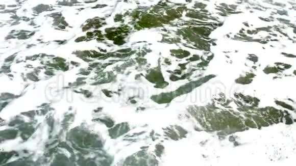 海水上的白色泡沫隐藏着绿色茂密的海藻视频的预览图