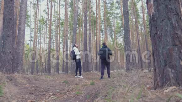 松林两个可爱的背包客徒步旅行他们是旅行者大自然的冒险爱好者生态学的研究视频的预览图