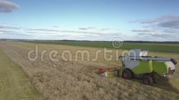 在现代收割机割麦茎附近飞行视频的预览图