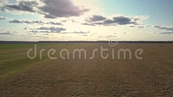 在明亮的阳光下俯瞰棕色的田野躲在云层后面视频的预览图