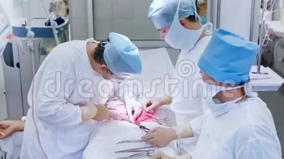中镜头专业外科医生在进行手术时使用螺纹缝合视频的预览图