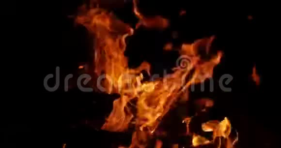 肯尼亚MasaiMara公园的露营地篝火火苗视频的预览图