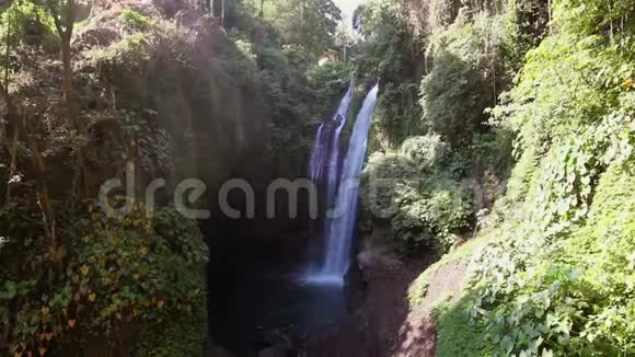 巴厘岛瀑布在绿色的热带丛林中形成阳光明媚视频的预览图