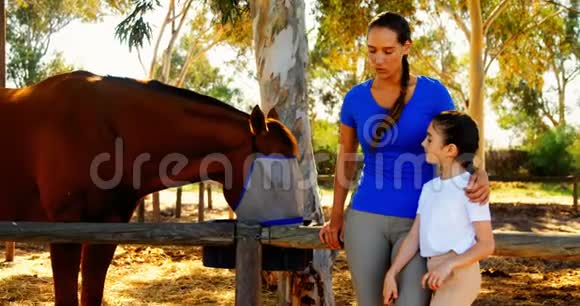 母亲和女儿在牧场抚摸马视频的预览图