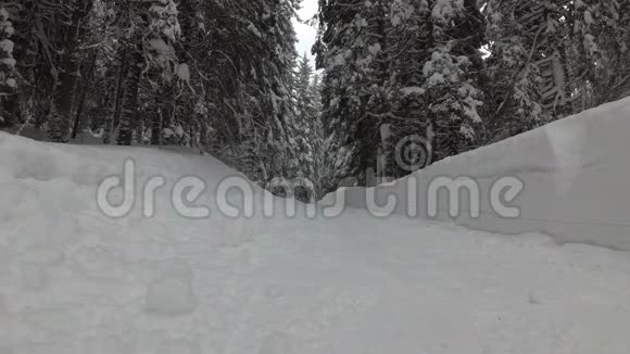 带背包的女人正沿着森林里的雪道走视频的预览图