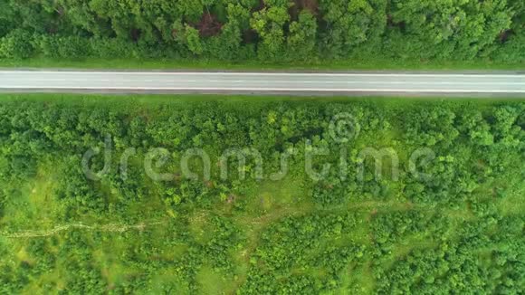 在绿色森林植物之间的道路上乘坐汽车的鸟瞰4K视频的预览图
