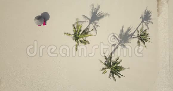 棕榈树和太阳伞的鸟瞰图视频的预览图