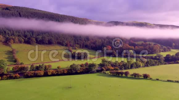 威尔士秋季早晨的农田视频的预览图