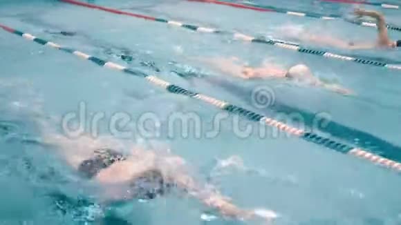 游泳池游泳者高角度跟踪射击训练视频的预览图