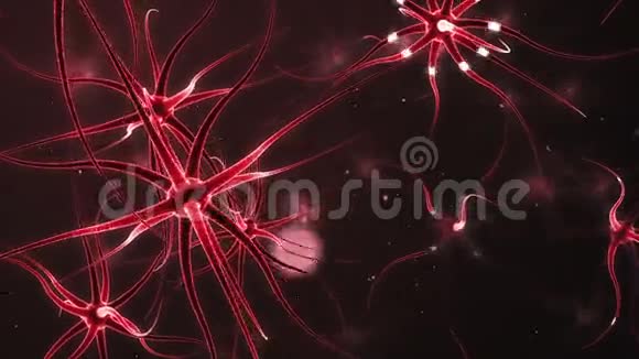 形成神经网络的神经元视频的预览图