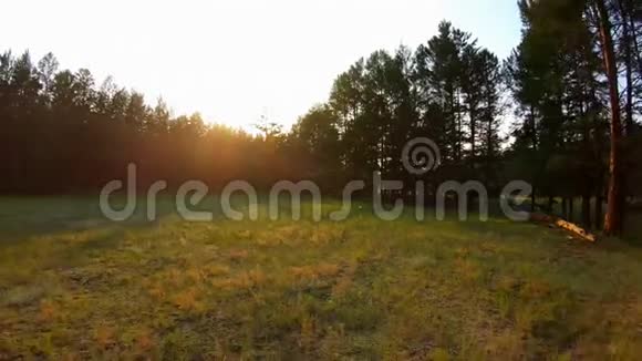 日落时分无人机在空地溪流和绿草地上低飞回来视频的预览图