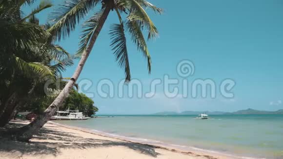 带棕榈树的西巴尔滩热带海滩景观视频的预览图