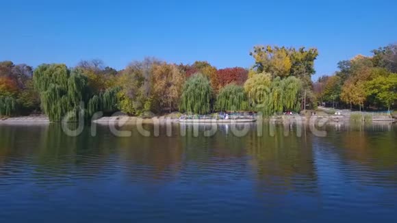 秋天在湖边的新婚夫妇视频的预览图