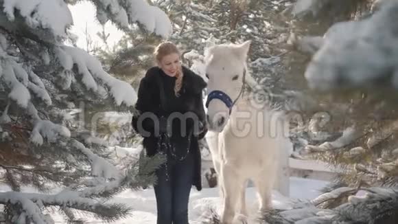 一幅漂亮的金发女孩和一匹纯种白马在栅栏附近的肖像年轻女子在玩她的白人视频的预览图