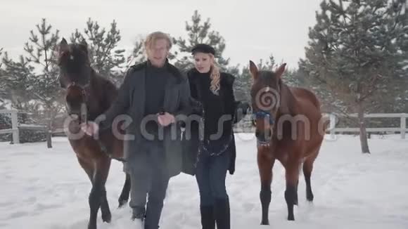 年轻的一对夫妇牵着两匹棕色的马在雪冬牧场交谈快乐积极的一对夫妇花时间在户外视频的预览图