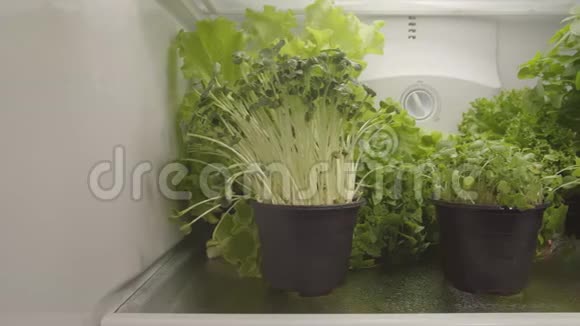 冰箱里有机食品和蔬菜视频的预览图