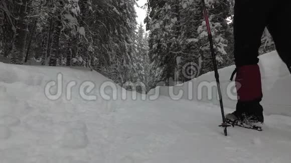 带背包的女人正沿着森林里的雪道走视频的预览图