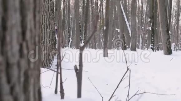 清晨一对年轻的男女在冬天的森林里奔跑和交谈视频的预览图