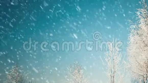 蓝天上覆盖着雪的树木视频的预览图