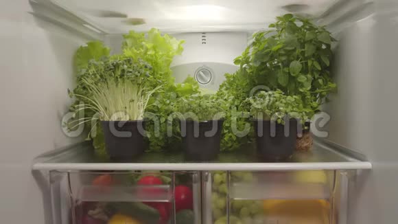 冰箱里有机食品和蔬菜视频的预览图