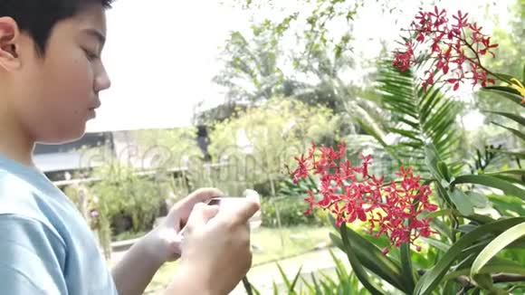 快乐亚洲小男孩在花园里与美丽的兰花合影视频的预览图