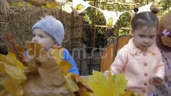 可爱的孩子们在带有树叶的装饰背景下玩得很开心视频的预览图
