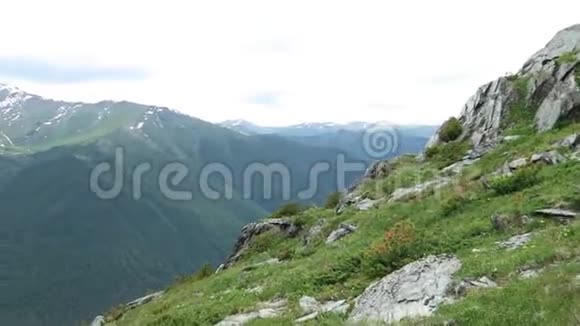 山夏景观草山花田阿尔泰山脊景观视频的预览图