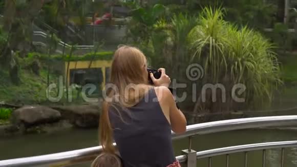 一位年轻女子在热带鸟类公园的栏杆上拍了一只大鸟的照片视频的预览图