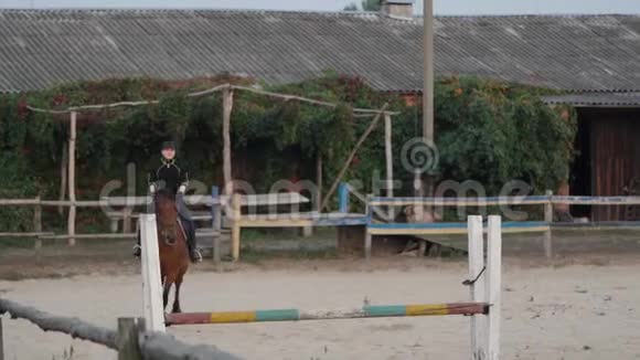 女骑手骑着棕色的马在沙滩跑酷的竞技场上跳着篱笆竞技运动员跳跃训练视频的预览图