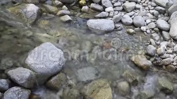 山溪里清澈的水视频的预览图