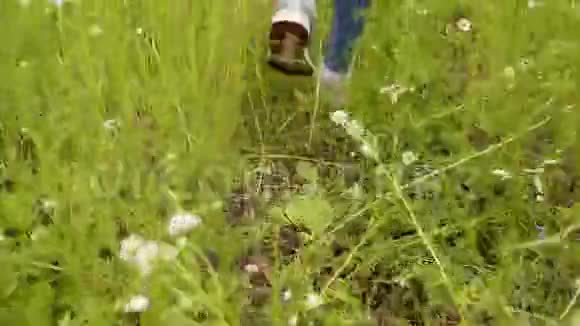 少年的腿在草地上穿过绿草和雏菊花视频的预览图