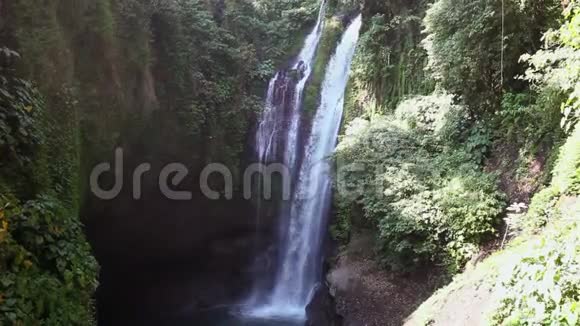 巴厘岛瀑布在绿色的热带丛林中形成阳光明媚视频的预览图